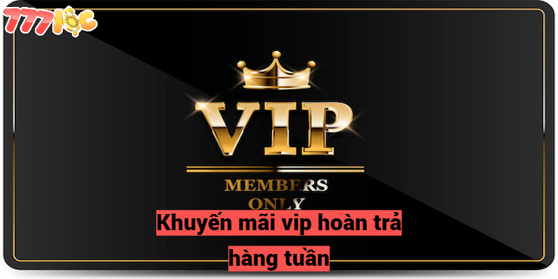 Khuyến Mãi VIP - Ưu Đãi Hấp Dẫn Nhất Dành Cho Hội Viên
